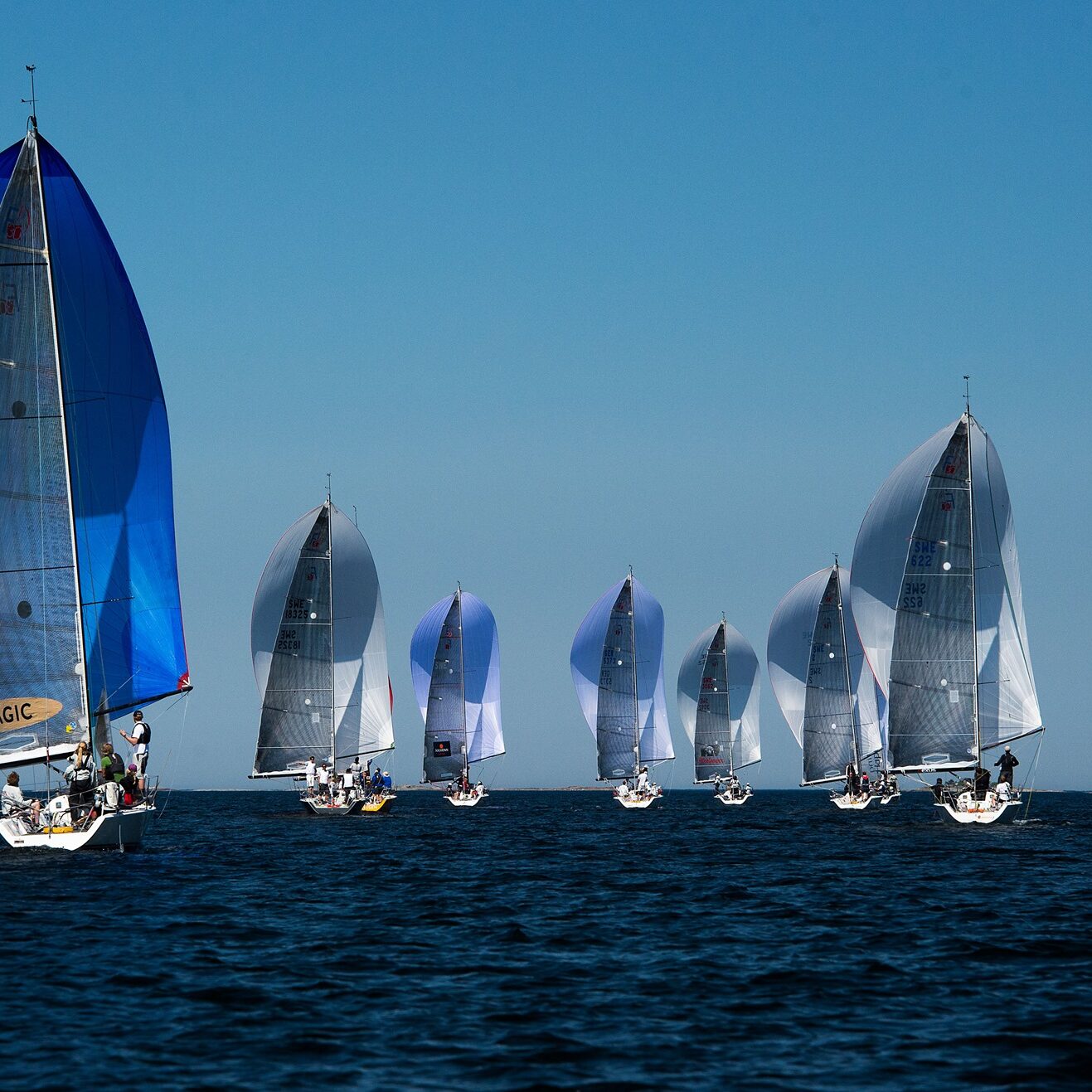 regata FARR 2019 square